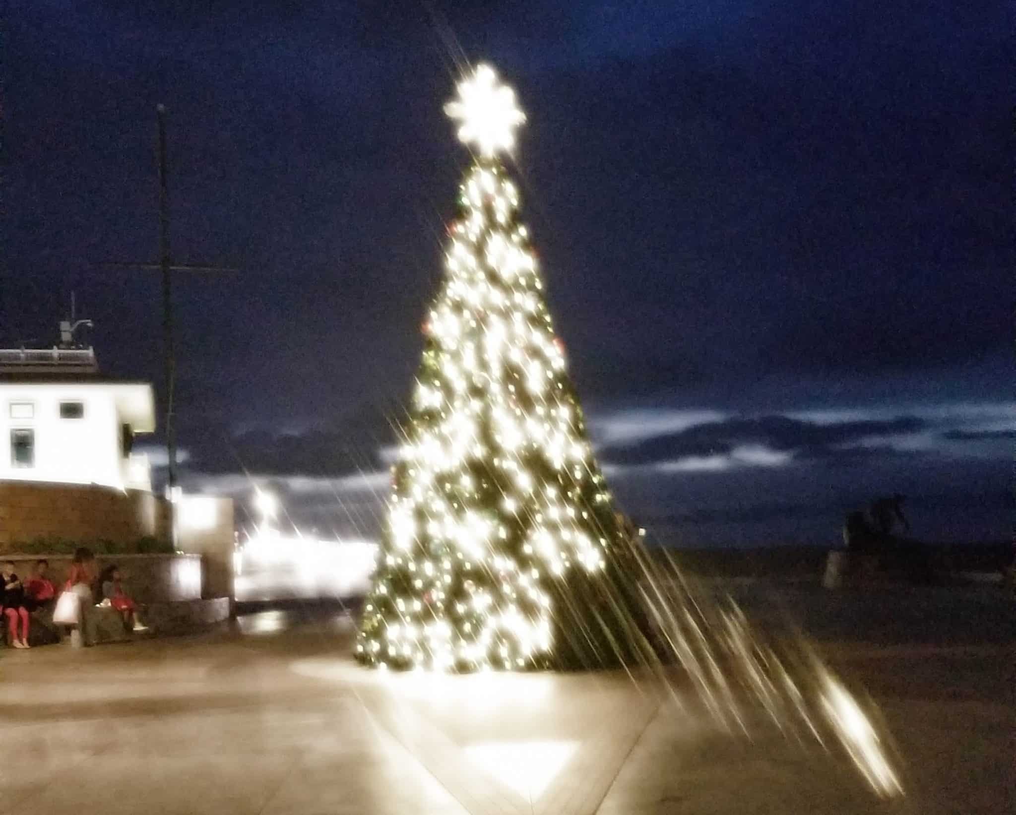 Hermosa Beach Tree Lighting Uncorked